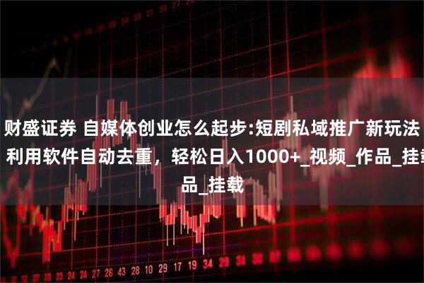 财盛证券 自媒体创业怎么起步:短剧私域推广新玩法，利用软件自动去重，轻松日入1000+_视频_作品_挂载