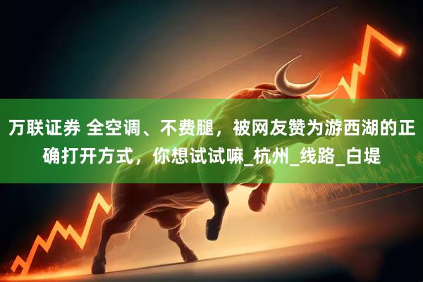 万联证券 全空调、不费腿，被网友赞为游西湖的正确打开方式，你想试试嘛_杭州_线路_白堤