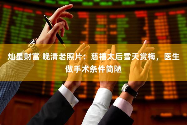 灿星财富 晚清老照片：慈禧太后雪天赏梅，医生做手术条件简陋