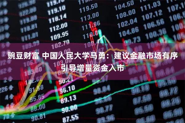 豌豆财富 中国人民大学马勇：建议金融市场有序引导增量资金入市